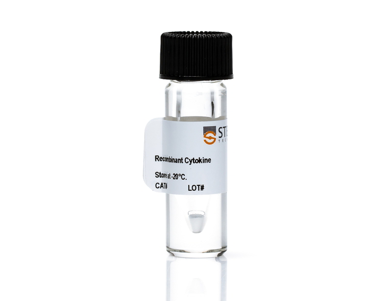 Soluble ICAM-1/CD54, Mouse, Recombinant