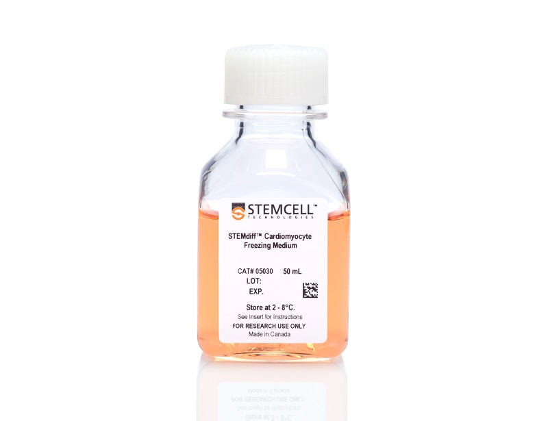 STEMdiff™ Cardiomyocyte Freezing Medium