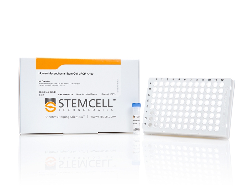 Human Mesenchymal Stem Cell qPCR Array