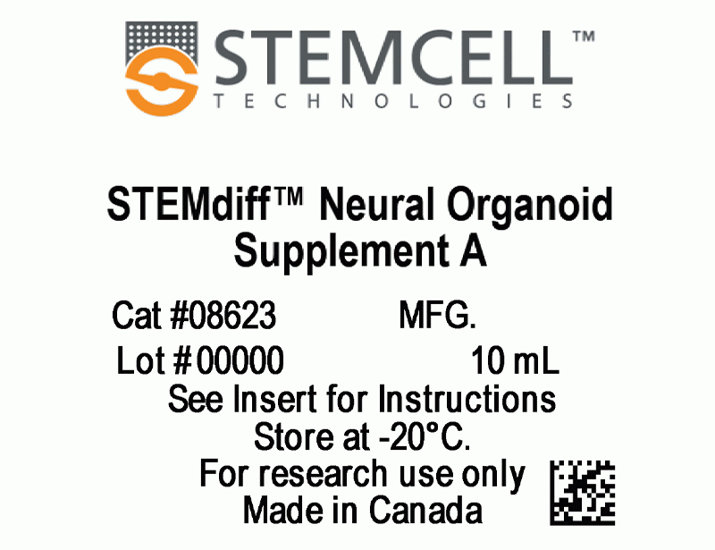STEMdiff™ Ventral Forebrain Organoid Differentiation Kit_产品中心_君合天晟