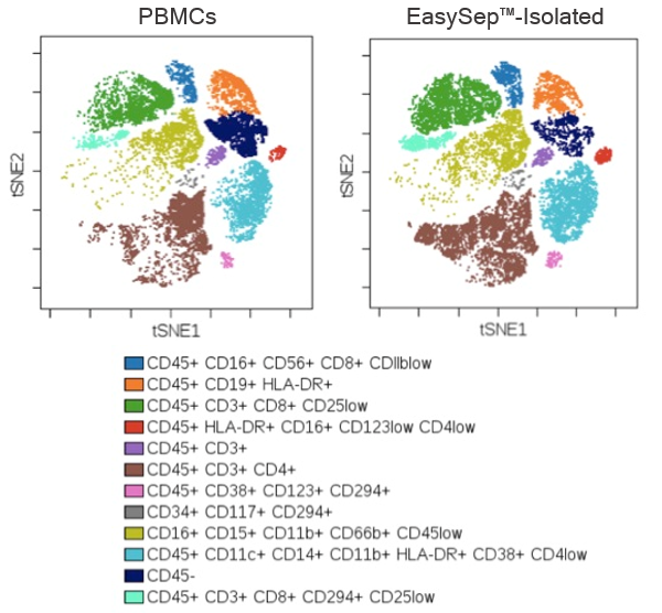 Using PBMCs as a startnig sample, this t-SNE plot shows that EasySep™-isolated CD45+ cells are representative of the starting leukocyte population.