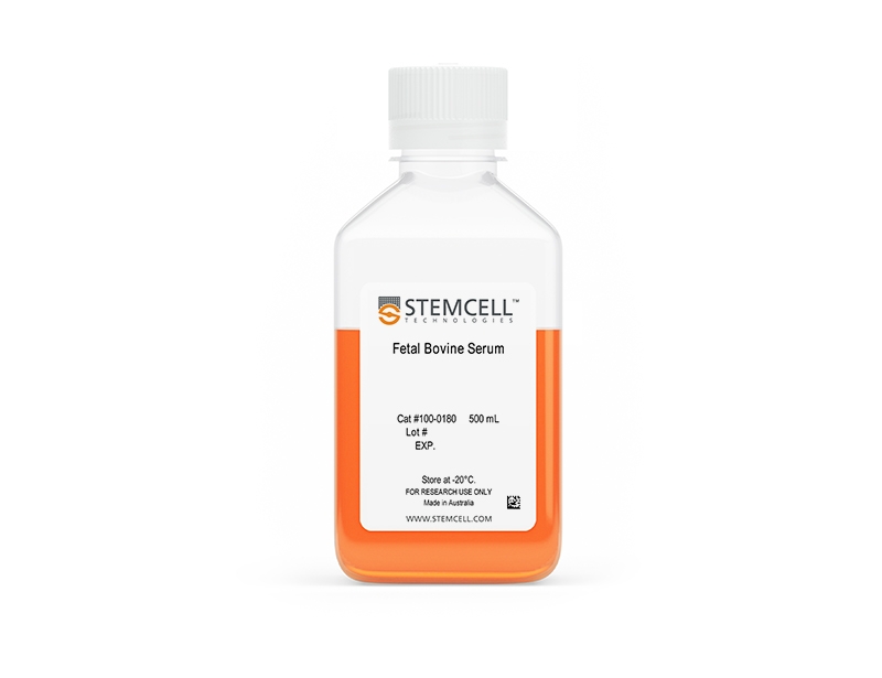 Fetal Bovine Serum