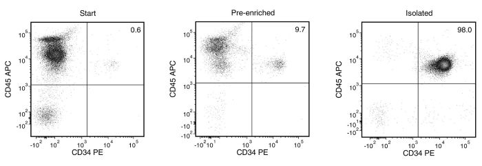 EasySep™ Human Cord Blood CD34 Positive Selection Kit II
