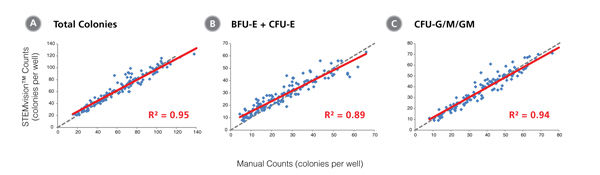 STEMvision™ Automated Scoring of Total, Erythroid (BFU-E + CFU-E) and Myeloid (CFU-G/M/GM) Colonies Is Highly Correlated to Manual Counts of 14-Day BM CFU Assays