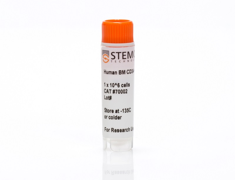 Human Bone Marrow CD34+ Cells, Frozen