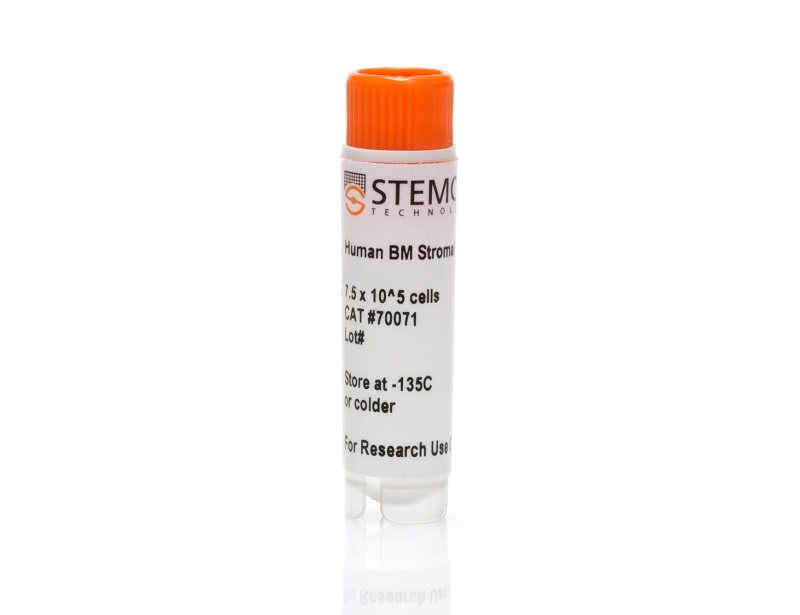 Human Bone Marrow Stromal Cells, Frozen