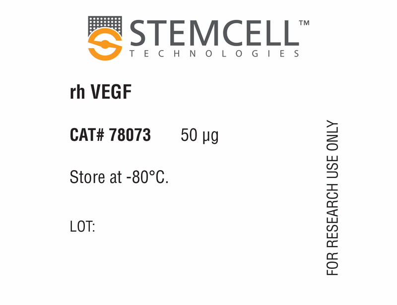 Human Recombinant VEGF-165