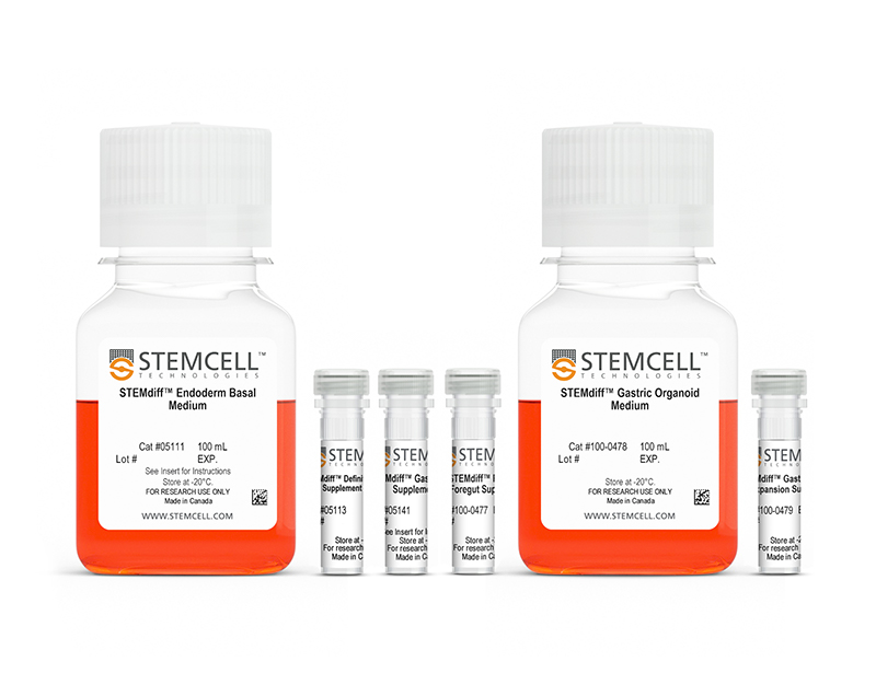 新产品发布 - STEMdiff 胃类器官试剂盒